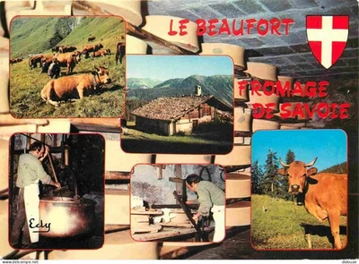 Carte Postale - Metiers - Fromager - Fromages - Fromagerie - Le Beaufort fromage - Photo 1/2