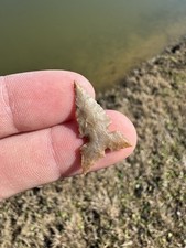 Rare Native American Harrell Texas Arrowhead Point 