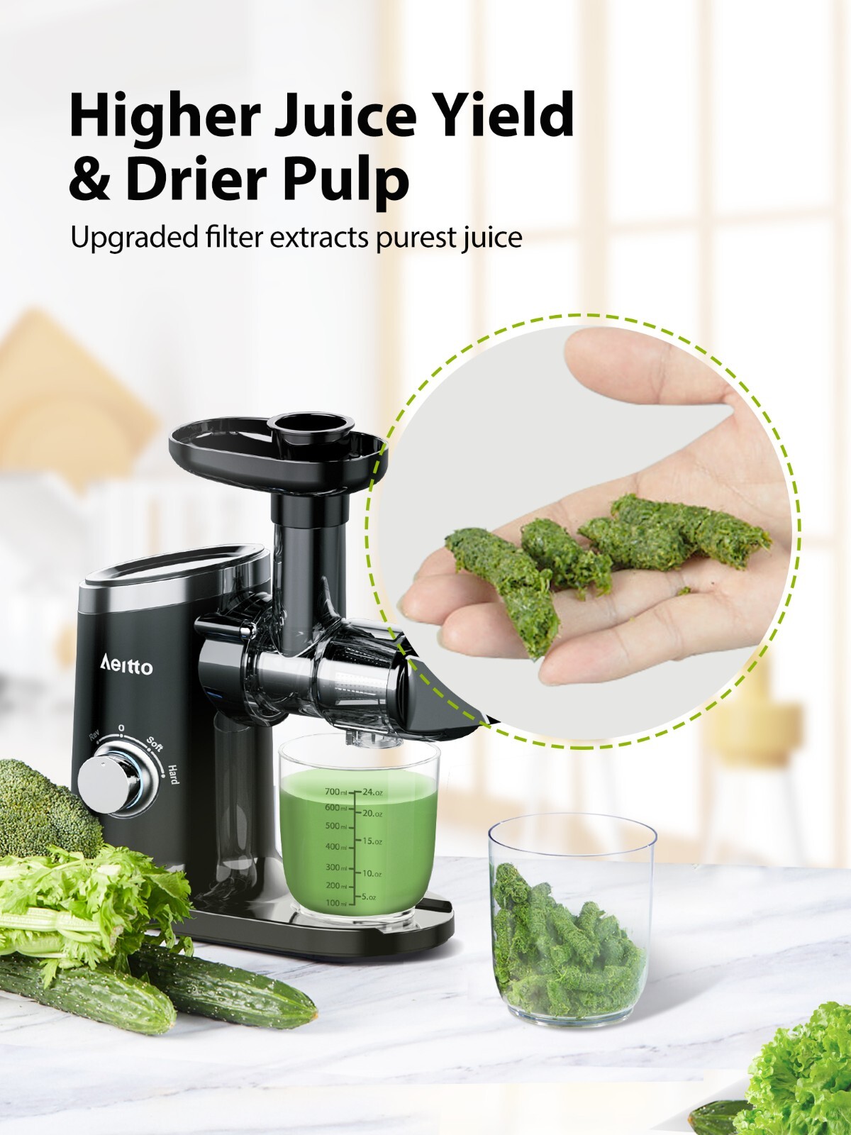 Aeitto 2-Speed Masticating Juicer, Juicer Machine with Reverse Function