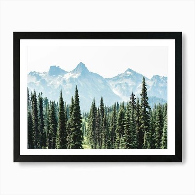 Mount Rainier Nationalpark Wald gerahmtes Wandbild Poster Leinwanddruck Bild