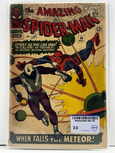 the Amazing Spider-Man #36 1966 | 1st App. Of Looter | CBCS Raw Comic Review 2.5