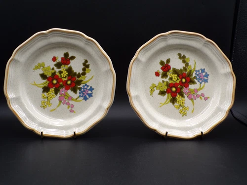 2 Mikasa Garden Club "A Basket Wildflowers" Luncheon Plates EC403 Japan C25