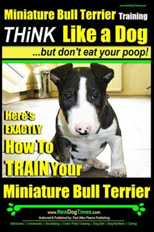 bull terrier training