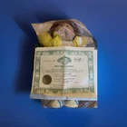 Vintage 1983 Cabbage Patch Kids Doll Xavier Roberts Adoption Certificate