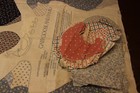 Picture 5 of 6