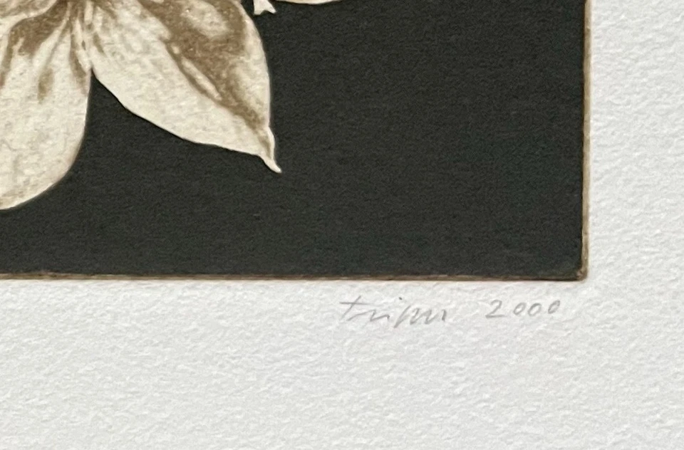 Jan Peter Tripp Signierte nummerierte Original Radierung  v. 2000 - Wilde Tulpen - Bild 3 von 4