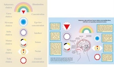 Lesser-Known Chakras -- A4 by Jan van Baarle POSTER / WALLCHART 9789079887491