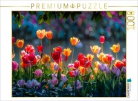 Calvendo Puzzle Colors Over Colors | 1000 Pieces, Finished Size 25.2 × 18.9 In (