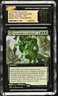 TURNTIMBER SYMBIOSIS Zendikar Rising Extended Art Mythic CGC Pristine 10 MTG