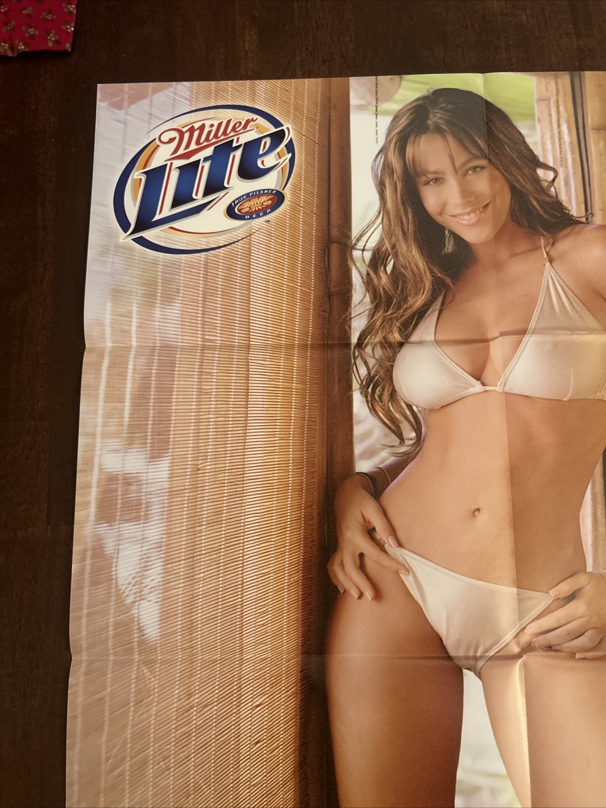 RARE 2003 Sports Illustrated Miller Lite Sofia Vergara Bikini Poster 20”x22”****