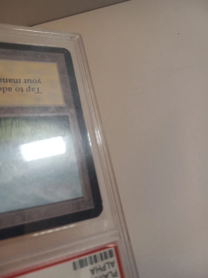 1993 Magic: The Gathering - Limited Edition Alpha Plains (A) PSA 8 - Image 2 of 4