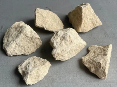 GGL NATURAL Raw SANDSTONE ROCKS | Terrarium Supplies | Decorative Rocks | Open Terra