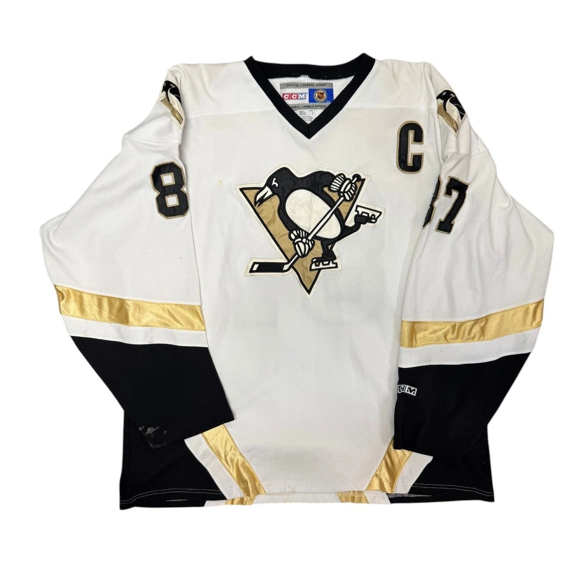 logo de le pittsburgh pingouins nationale le hockey ligue équipe