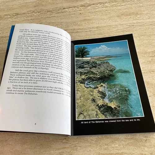 Marine Photography: Underwater Bahamas - Bob Friel - Diving / Coral Reef 1993 - Picture 12 of 20