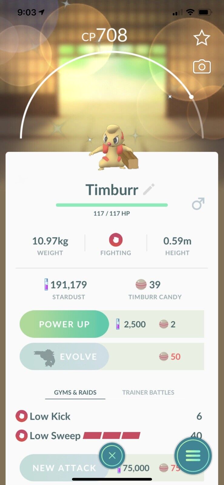 I got 1 hundo 🥳 #pokemon #pokemongo #shiny #shinypokemon #timburr #ti