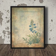 VINTAGE BLUEBONNET Wall Art, Retro TEXAS Flower Poster, Western Botanical Decor