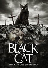 BLACK CAT NEW DVD