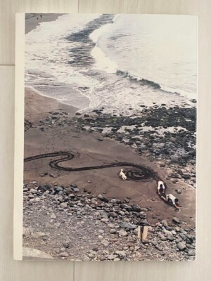 Wolfgang Tillmans - Freischwimmer used japan | eBay