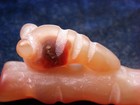 Old Nephrite Jade Stone Carved HongShan Culture Ancient Bug On Branch #11202507 — photo 2