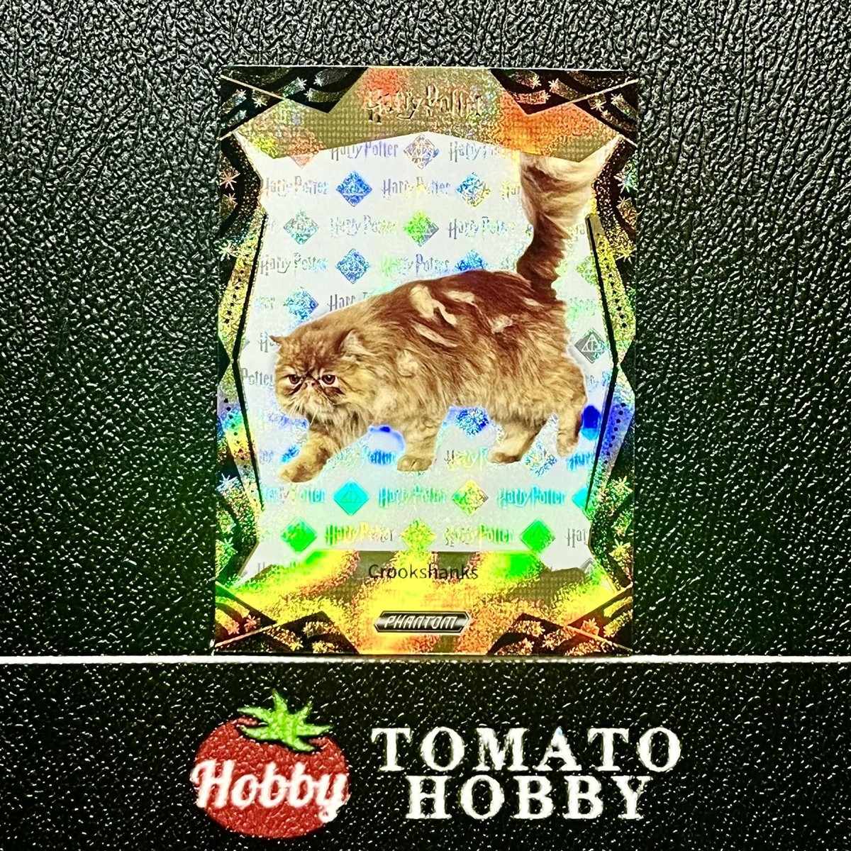 ルシウス kakawow スクリプトアートカード /45 KAKAWOW PHANTOM CHROME HARRY POTTER 2024 CROOKSHANKS /668 MAGIC