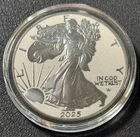 2025 1 Oz .999 American Silver Eagle ASE USA Diamond Dust Black Platinum Coin!!