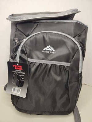 Insulated Backpack/Cooler  11 x 15 x 6  Polar Pack School Work