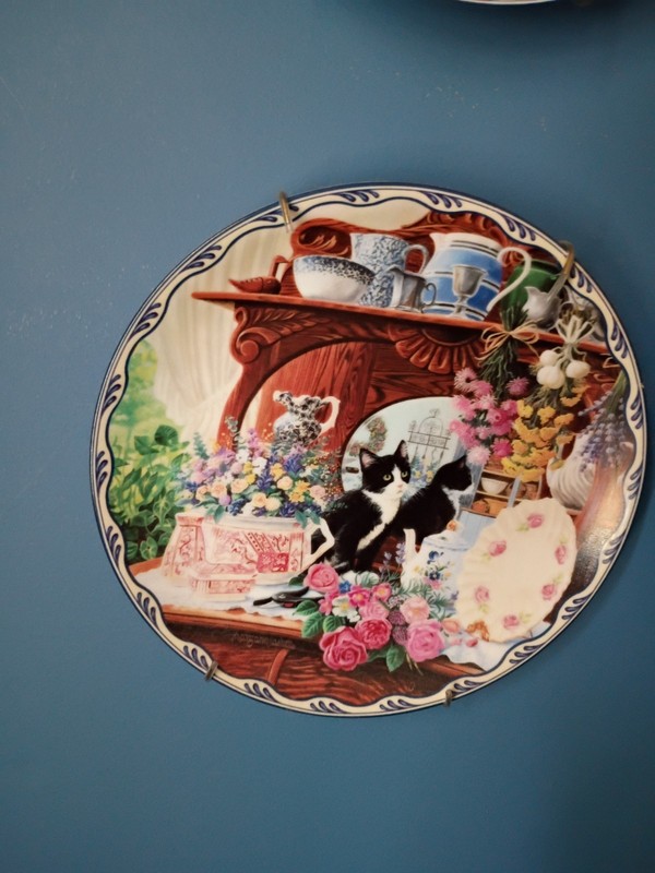 Bradford Exchange Warm Country Moments Cat Plates. Full Set Of 8 W/ Wall Hangers