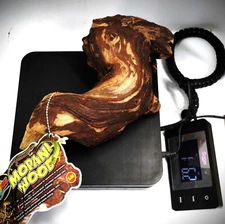 Zoo Med Mopani Wood Small for Tank or Terrarium  6-8"+ Long