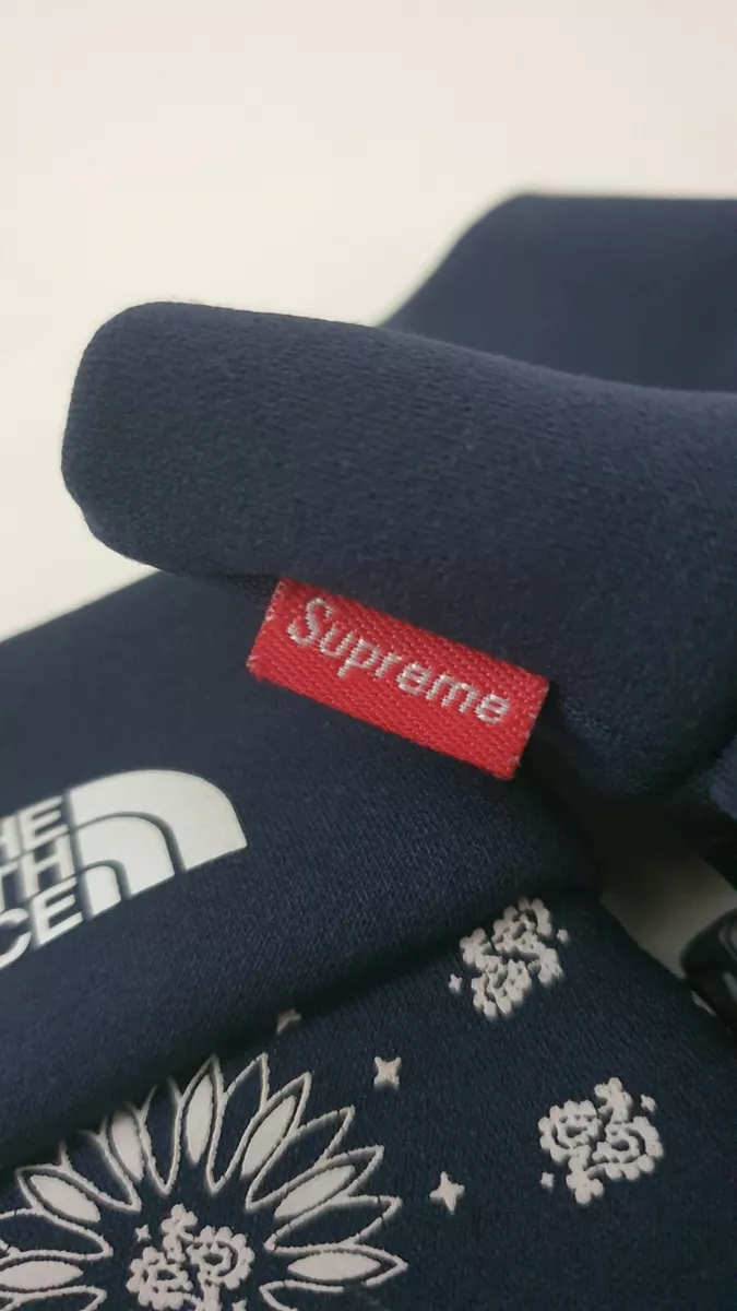 Very rare FW14 Supreme x THE NORTH FACE Bandana Gloves navy size S