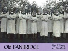 Old Banbridge by Alex Young Paperback Book