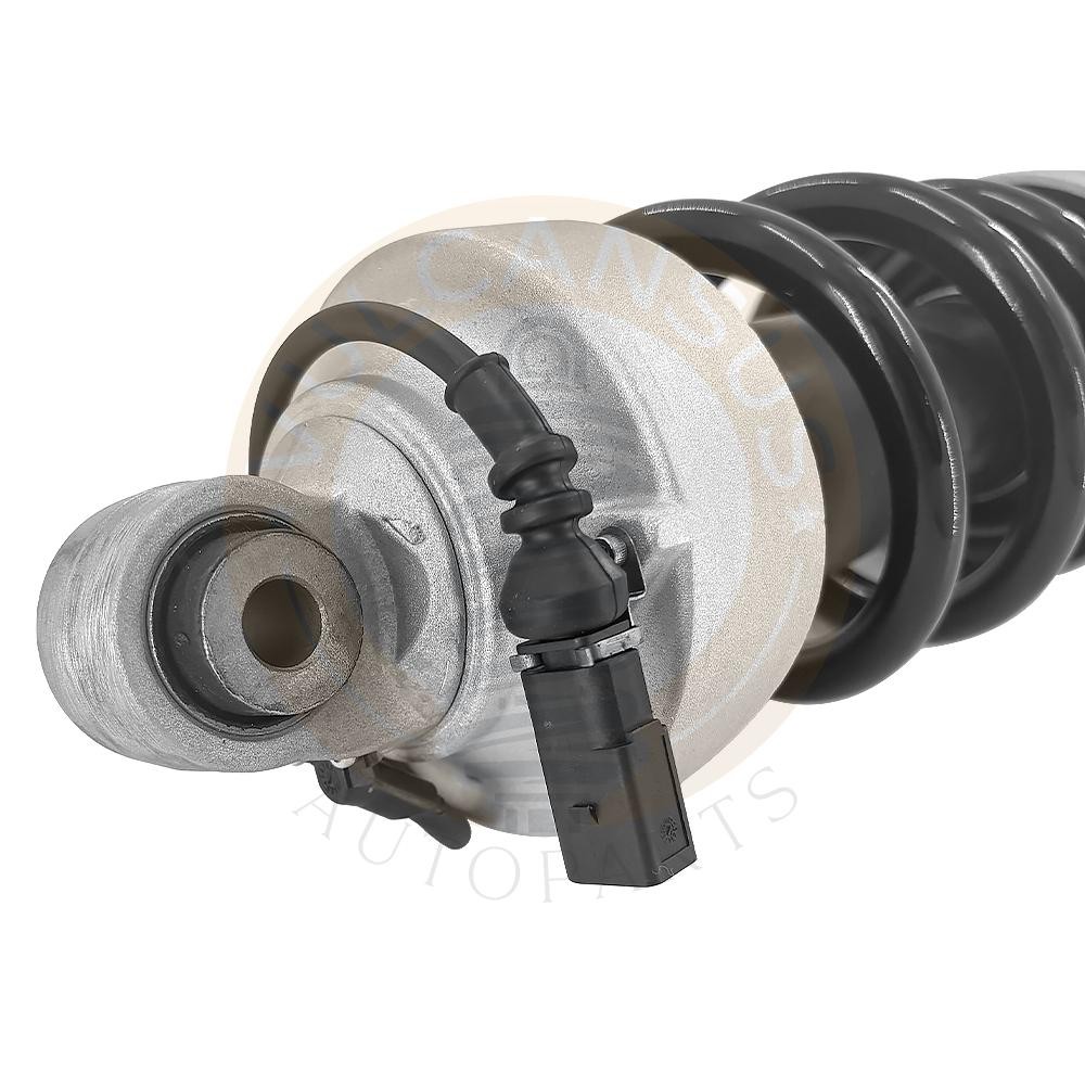 Audi R8 2012-2018 FRONT+RIGHT Strut assembly P/N 420412019AJ
