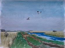 Aquarell Karl Adser 1912-1995 Kiebitze über Stadil Fjord Frühling Dänemark 1988