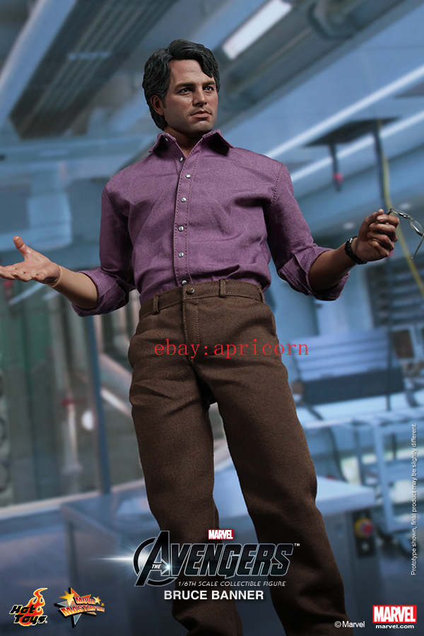 Hot Toys MMS229 The Avengers 1/6 Bruce Banner Mark Ruffalo Action
