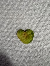 Heart-shaped, green, Lay's potato chip