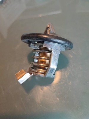 Thermostat Opel Frontera 3.2 Monterey 3.5