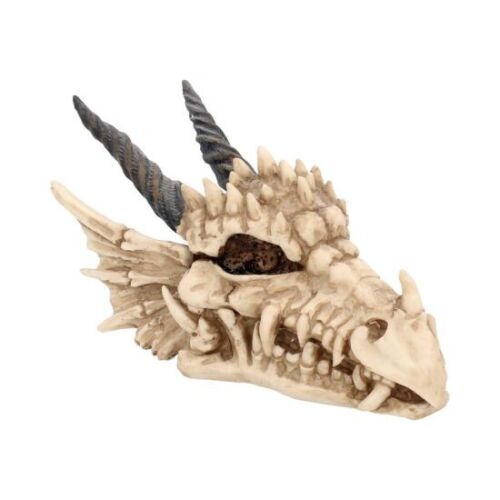 Dragon Skull Trinket Box: Nemesis - Picture 1 of 5