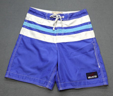 Hollister Board Shorts Men's Size S 30 Blue/White Striped Surf Trunk 8 Inseam