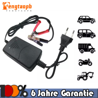 12V 1A Auto Intelligentes Batterieladegerät Erhaltungsladegerät Zweifarbiger LED