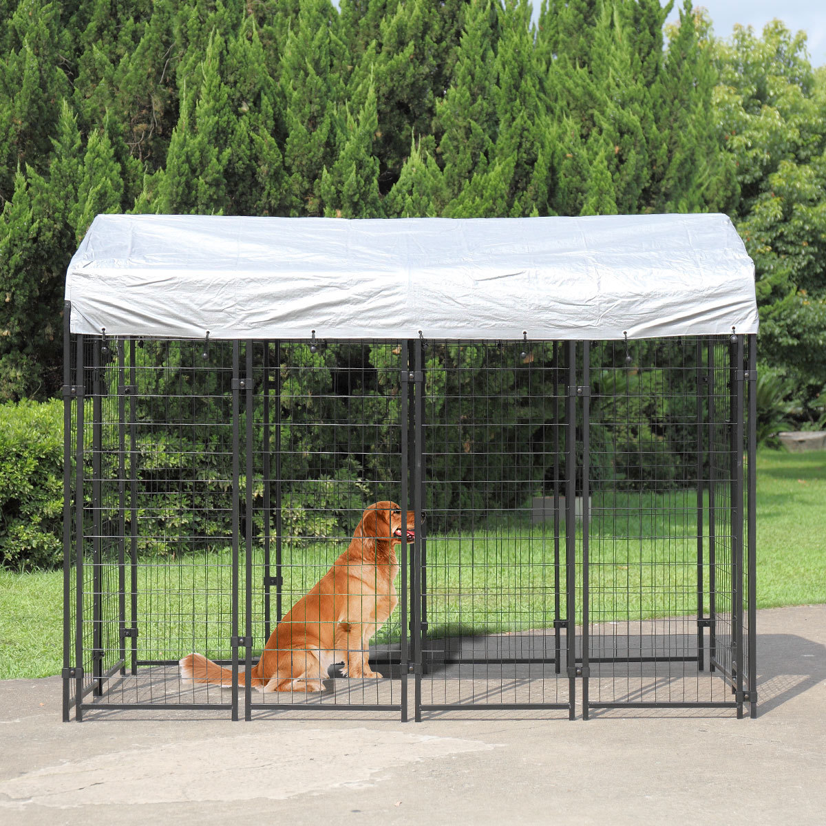 outdoor dog shelter