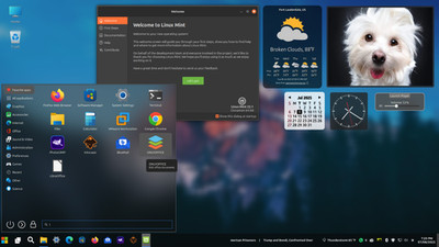 Linux Mint 22.1 Ultimate Upgrade for Microsoft Windows 10 (VM Included) #10