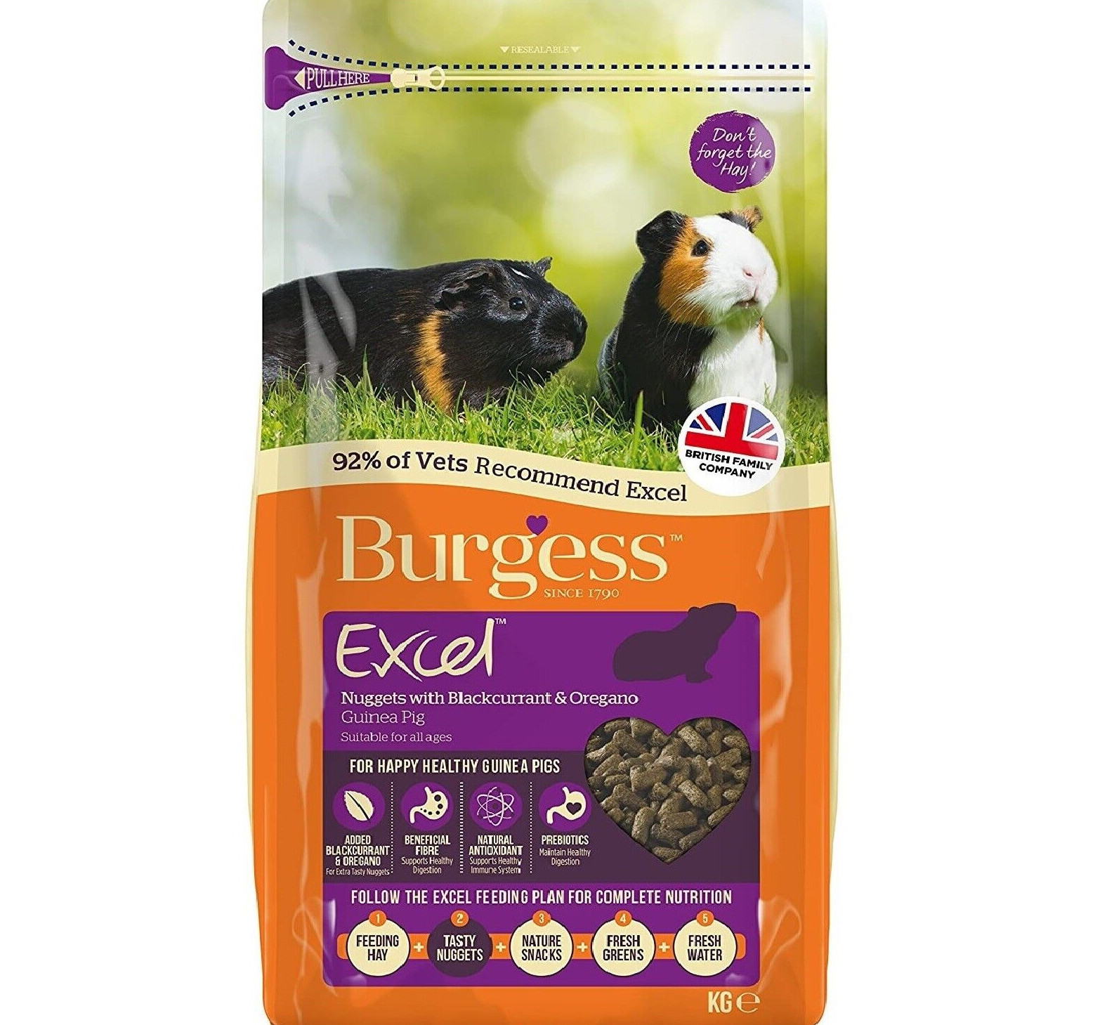EXCEL GUINEA PIG NUGGETS BLACKCURRANT & OREGANO : Burgess Adult Animal Pet Food