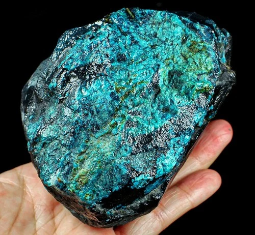 3666Ct Arizona Turquoise Rough Specimen Old stock YNSA4