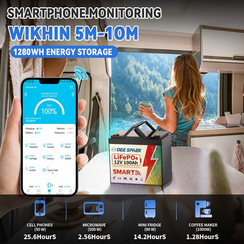 12/24V 36/48V 100Ah 200Ah 300Ah LiFePO4 Lithium Battery Bluetooth Solar Off-grid - Picture 10 of 84