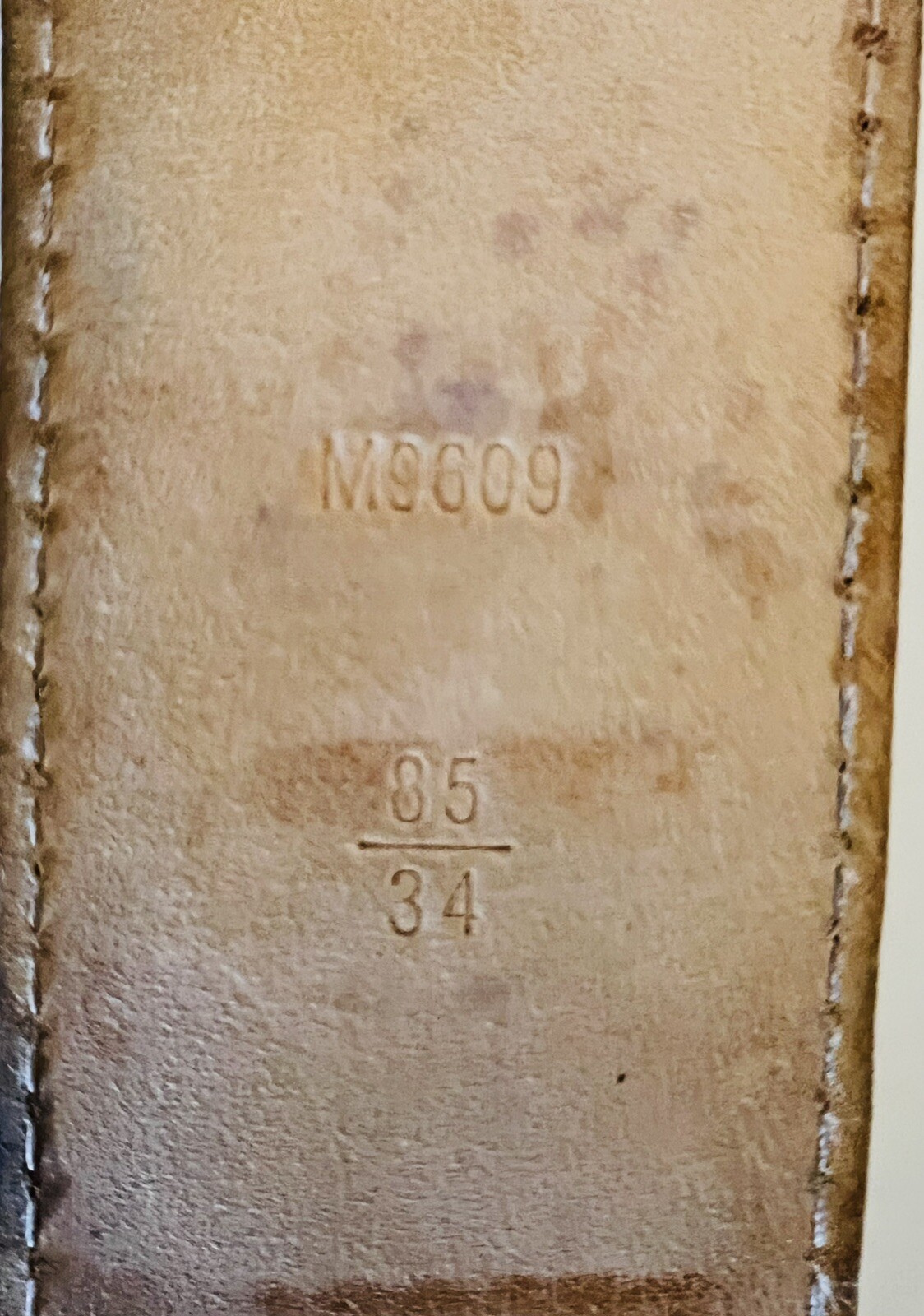 Picture 12 of 13