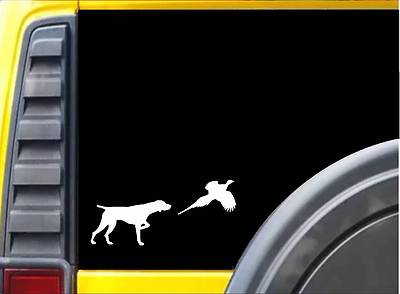 German Shorthair Pointer Pheasant L040 8 inch shorthaired dog decal