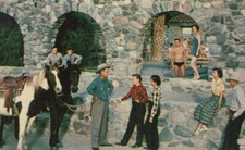 c1970 Furnace Creek Inn Death Valley California pool horse Western postcard C385