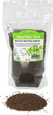 Handy Pantry Organic Broccoli Sprouting Seeds Non-GMO Broccoli Sprouts Seeds 1