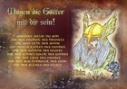 Bild 3 von 8