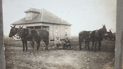 1910 Two Old Prairie Sodbusters and Mule Teams, at House Kansas or Nebraska