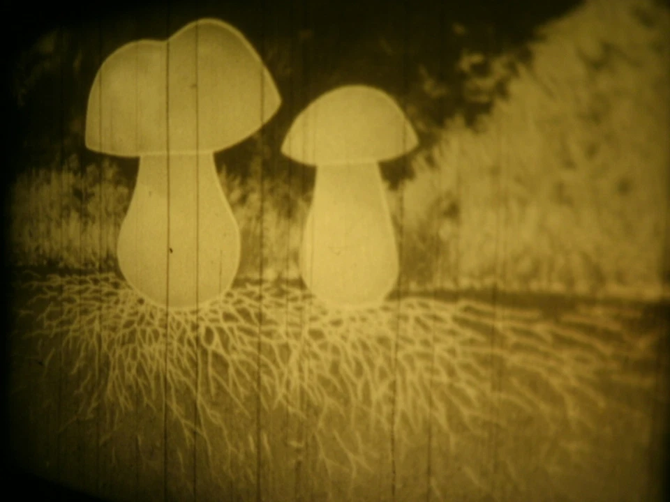 16mm Soviete education " Cap mushrooms " Film b/w Movie Nature - Image 3 of 4